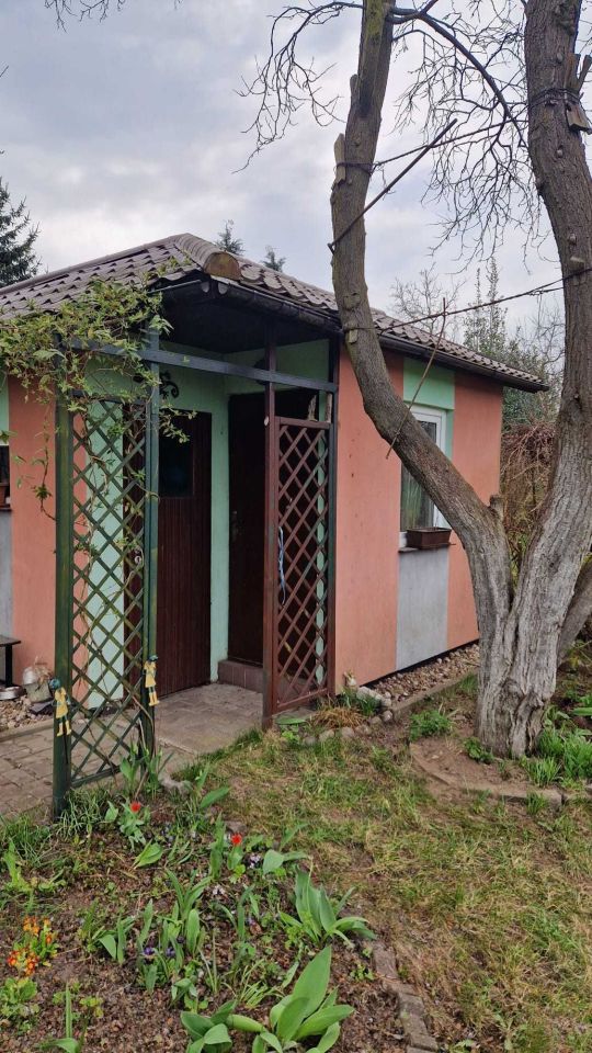 Działka rod Lubin. Zdjęcie 1