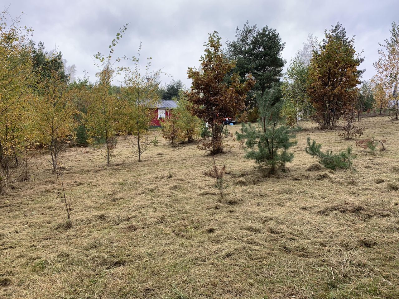 Działka budowlana Cychry. Zdjęcie 13