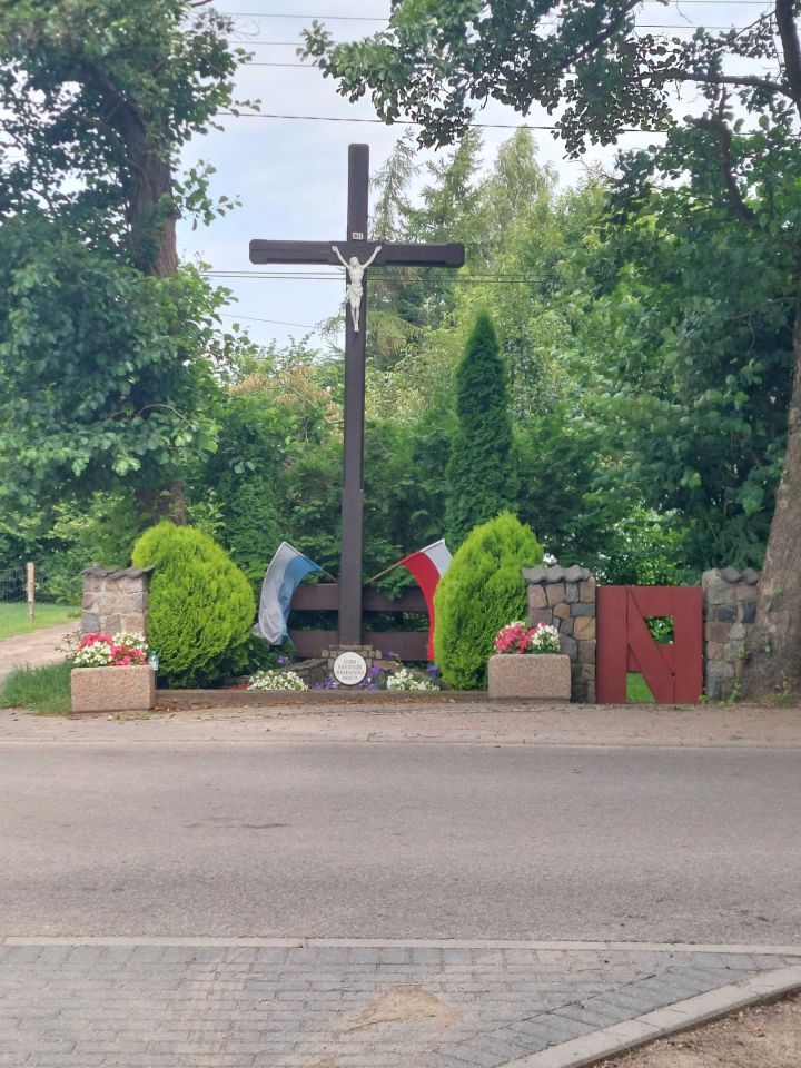 Działka rolna Karwieńskie Błoto Drugie. Zdjęcie 6