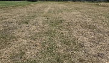 Działka rolno-budowlana Sułoszyn