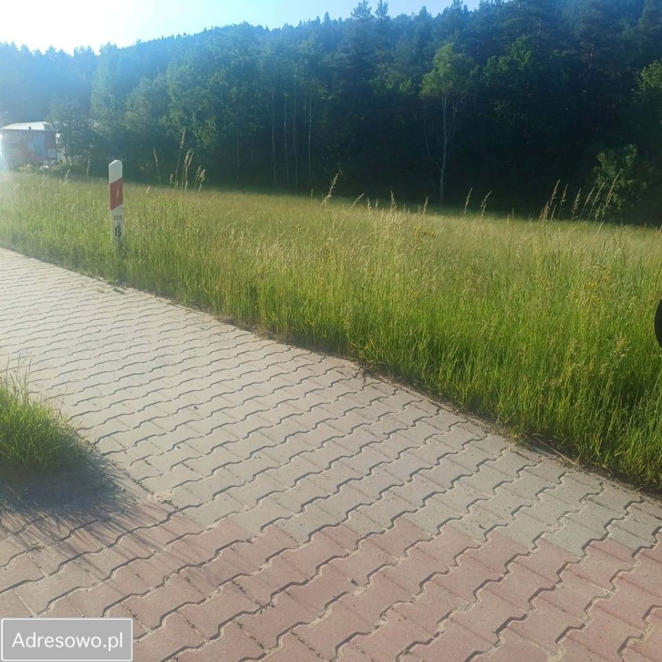 Działka inwestycyjna Zamieście. Zdjęcie 7