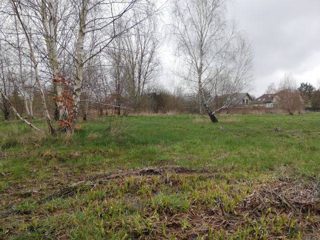 Działka budowlana Ustanów, ul. Krokusów. Zdjęcie 1