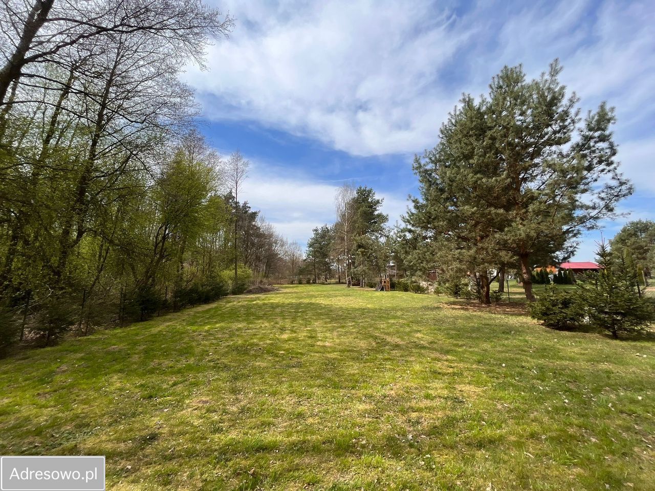 Działka rekreacyjna Żelazno. Zdjęcie 2