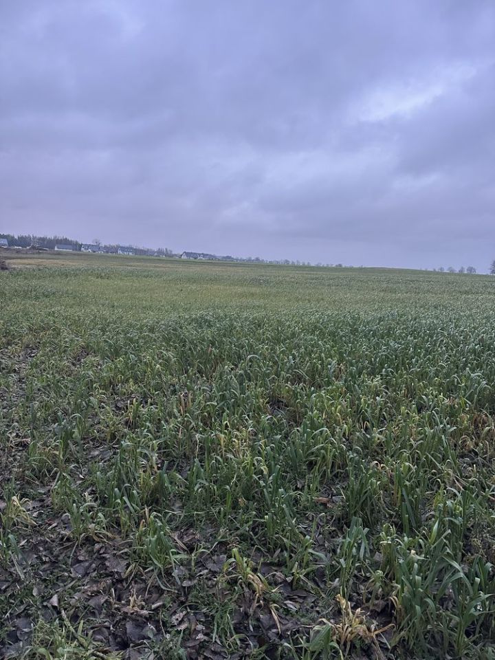 Działka budowlana Śmieszkowo. Zdjęcie 4