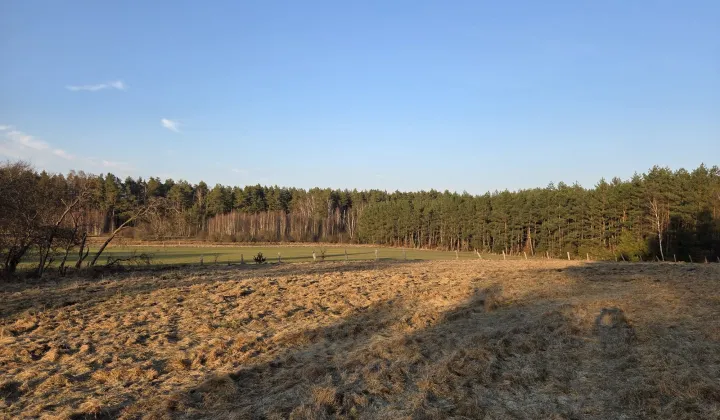 Działka rolno-budowlana Gwiazdowo Gwiazdówko