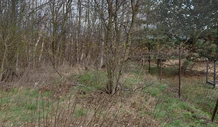 Działka rolna Gołków Gołków-Cegielnia, ul. Dużego Stawu