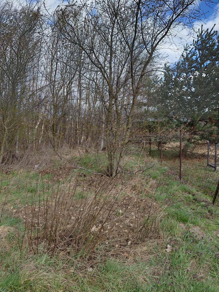 Działka rolna Gołków Gołków-Cegielnia, ul. Dużego Stawu. Zdjęcie 1