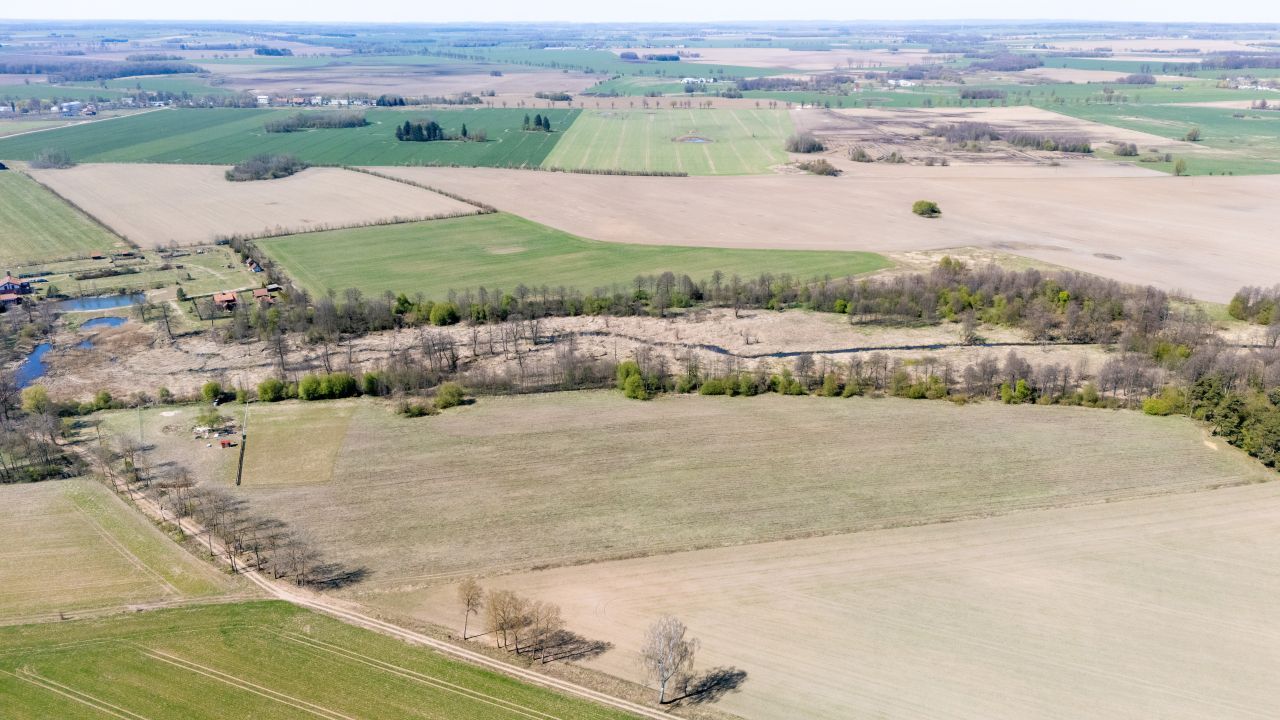 Działka rolno-budowlana Wierzbowo. Zdjęcie 4