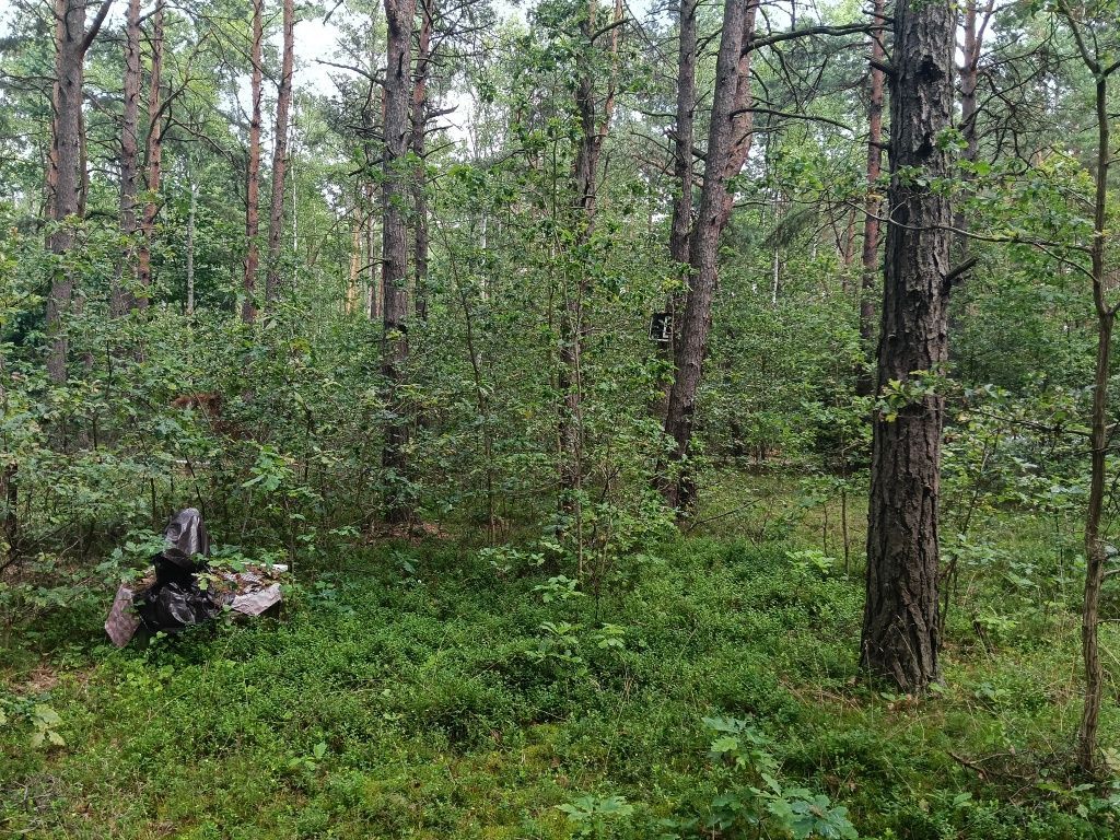 Działka leśna Myszków Nowa Wieś Żarecka, ul. Pawia. Zdjęcie 4