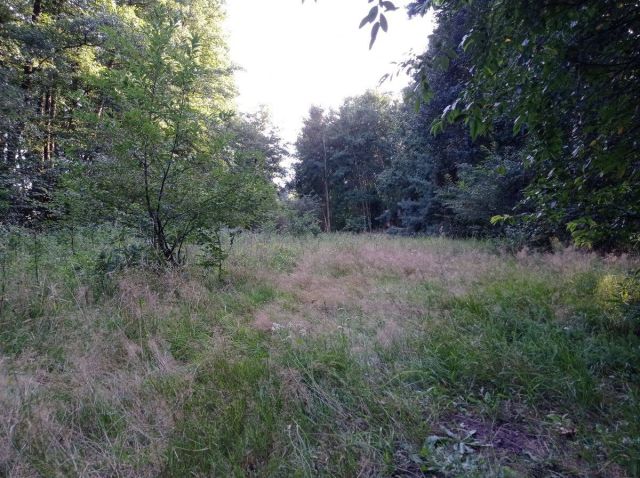 Działka rolna Kicin. Zdjęcie 2