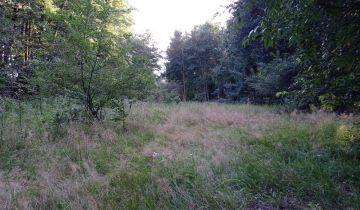 Działka rolna Kicin