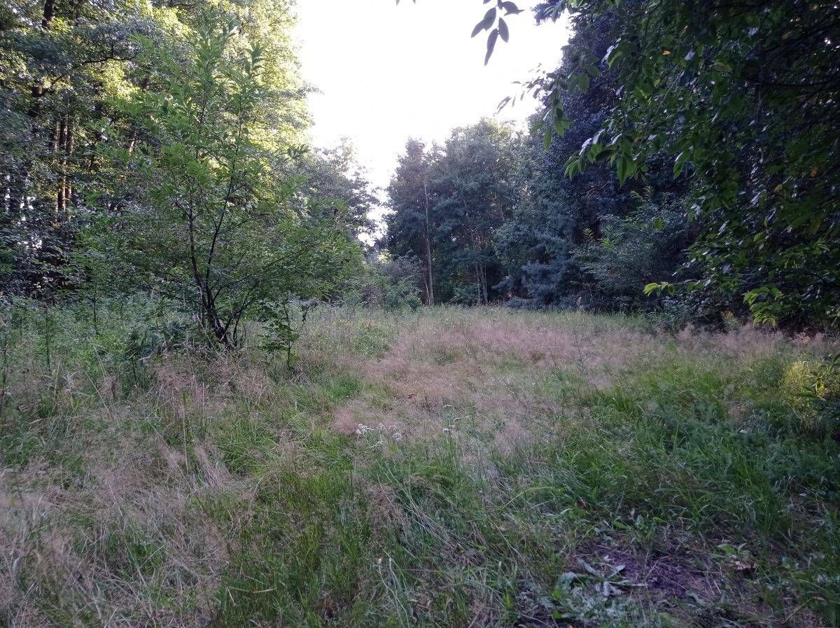 Działka rolna Kicin. Zdjęcie 2