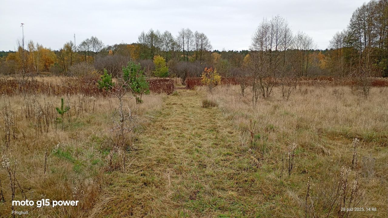 Działka siedliskowa Nowiny. Zdjęcie 8