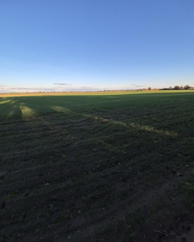 Działka budowlana Gocanowo. Zdjęcie 1