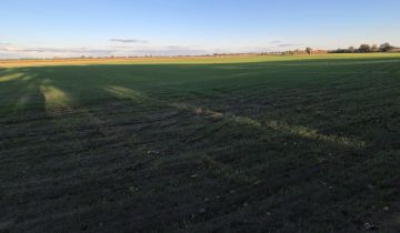 Działka budowlana Gocanowo