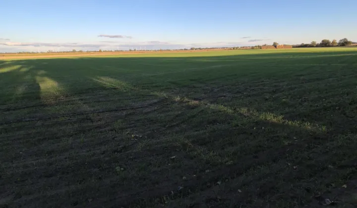 Działka budowlana Gocanowo