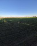 Działka budowlana Gocanowo