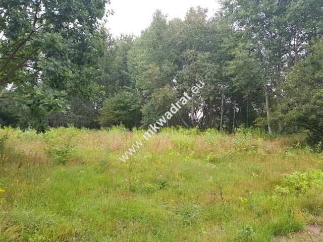 Działka budowlana Terenia. Zdjęcie 4