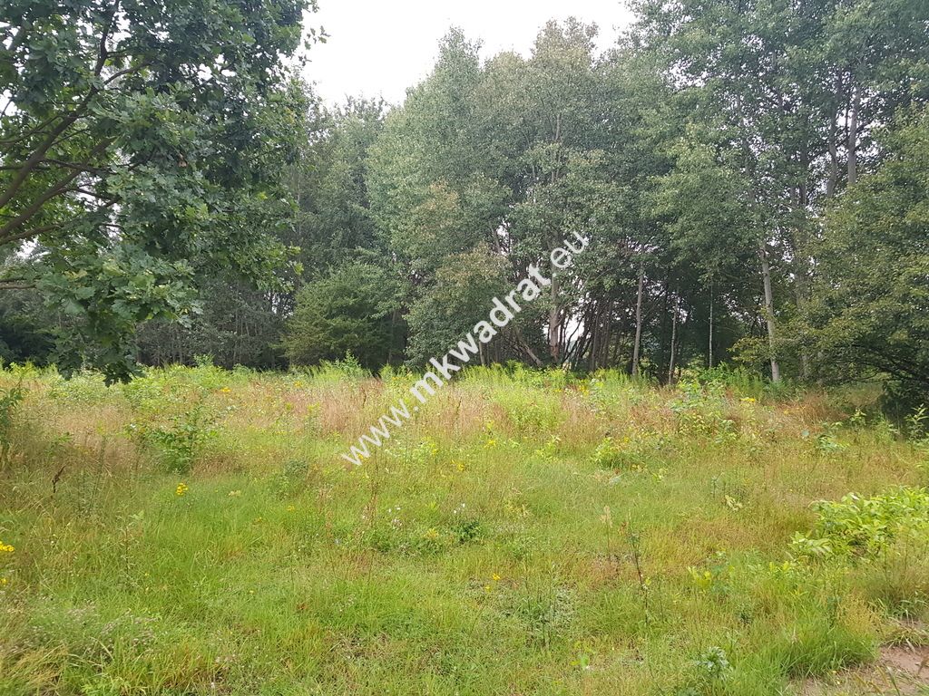 Działka budowlana Terenia. Zdjęcie 4