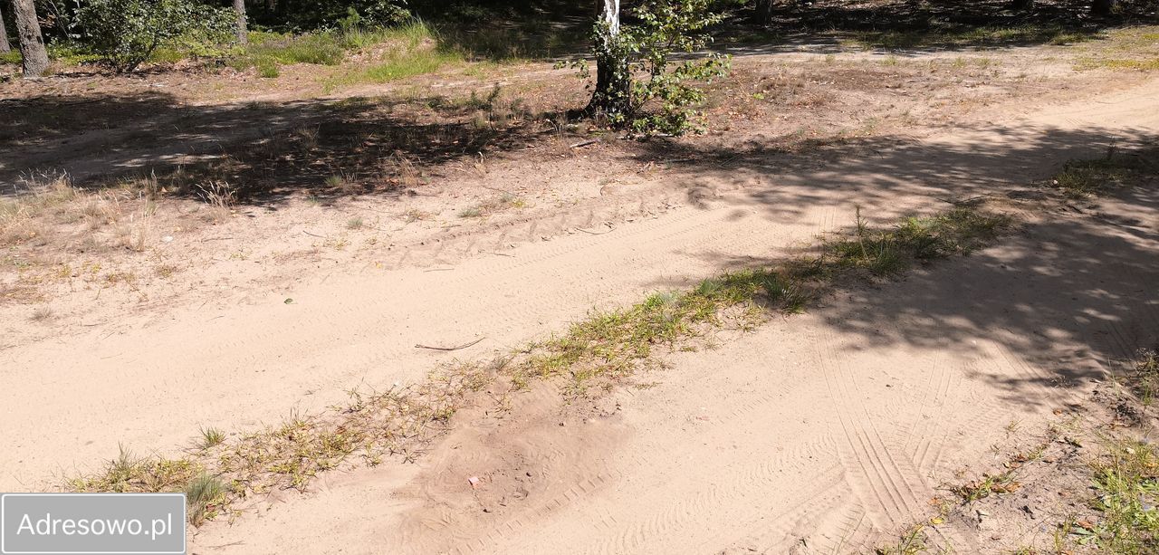 Działka budowlana Puszcza Rządowa. Zdjęcie 2