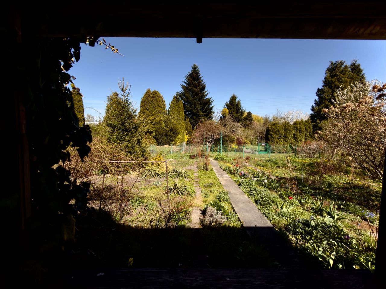 Działka rod Warszawa Zacisze. Zdjęcie 6