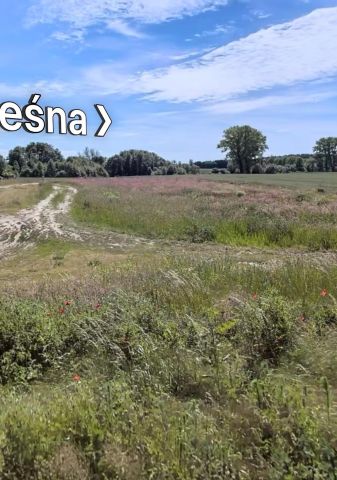 Działka leśna Mokrawica, ul. Leśna. Zdjęcie 1