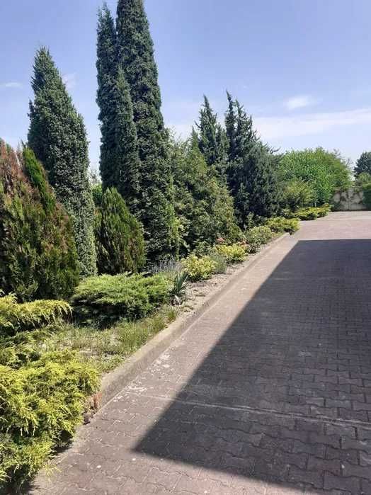 Mieszkanie 4-pokojowe Dęblin. Zdjęcie 2