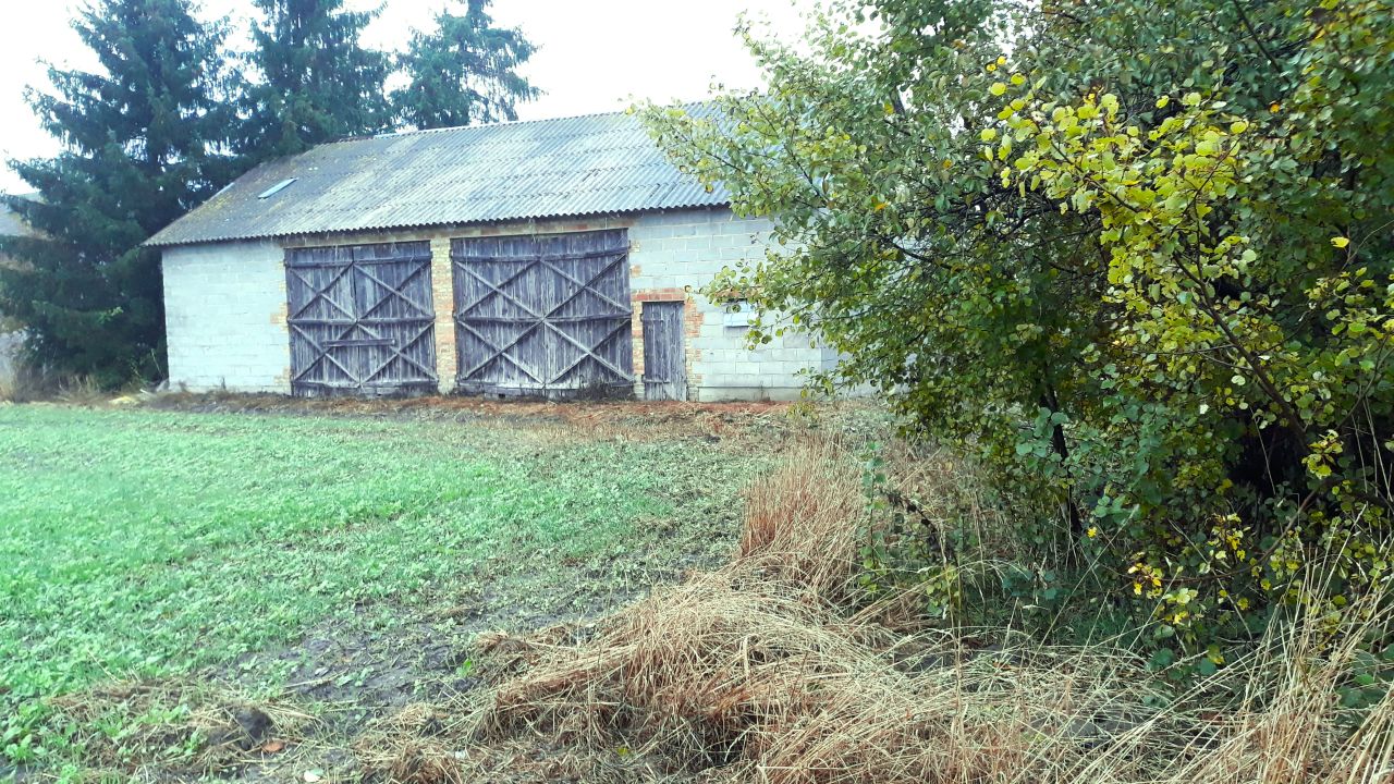 Działka siedliskowa Galominek. Zdjęcie 2