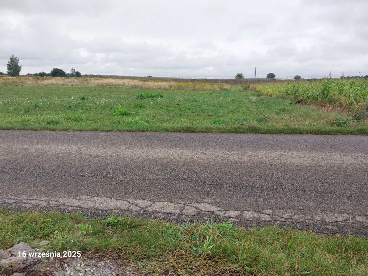 Działka rolno-budowlana Sieprawice. Zdjęcie 5