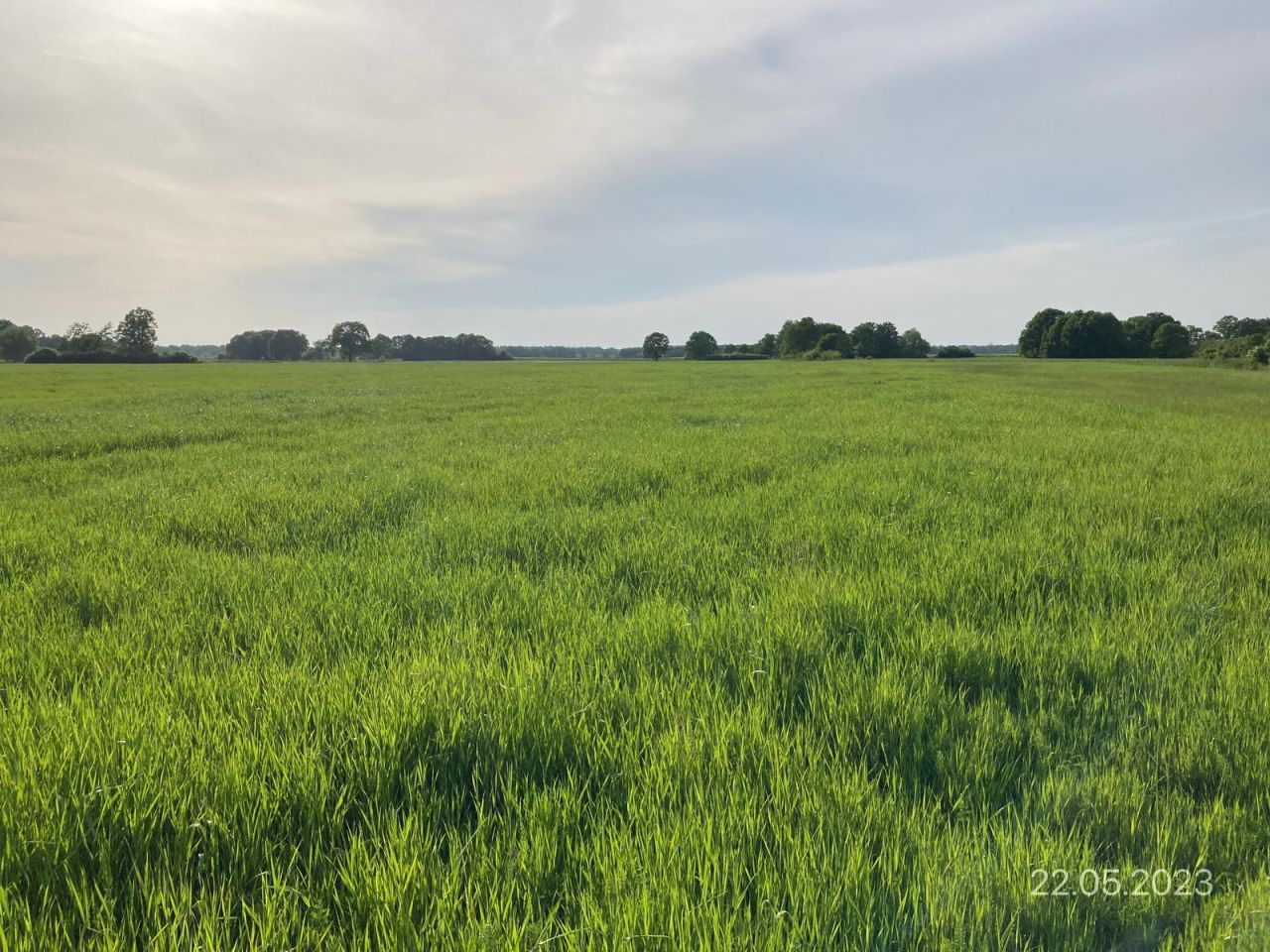 Działka rolna Brodno. Zdjęcie 1