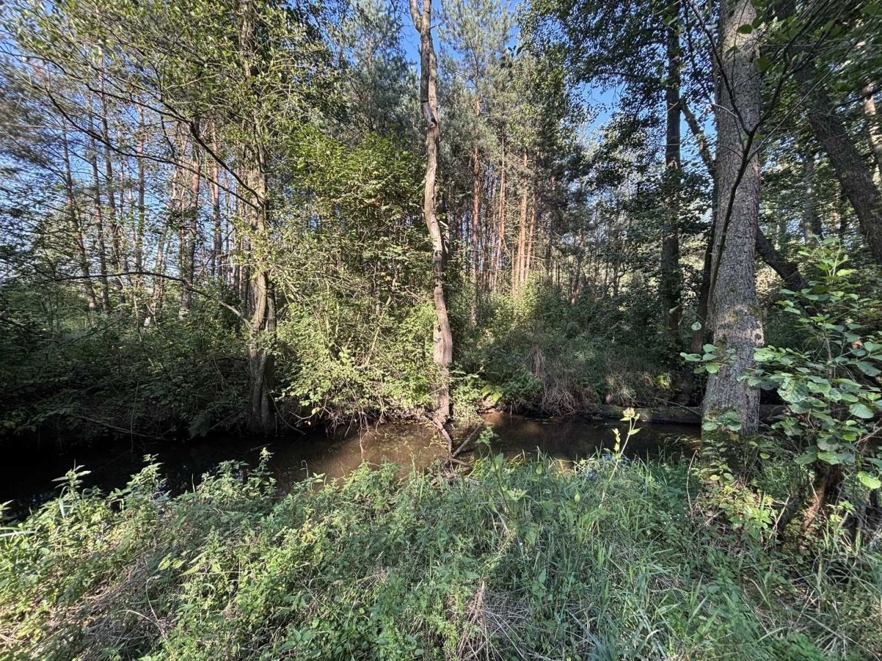 Działka budowlana Rudnik Wielki, ul. Nowa. Zdjęcie 4