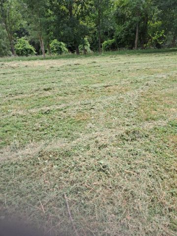 Działka rolno-budowlana Nowa Wieś. Zdjęcie 1