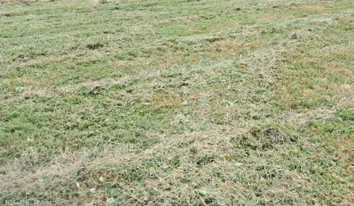 Działka rolno-budowlana Nowa Wieś