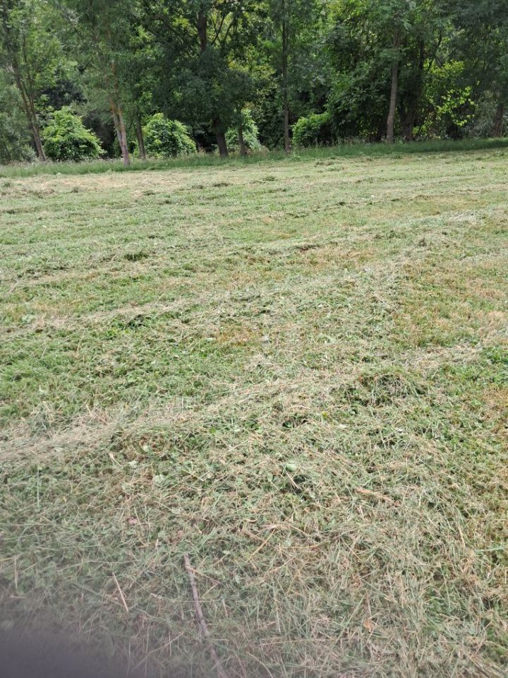 Działka rolno-budowlana Nowa Wieś. Zdjęcie 1