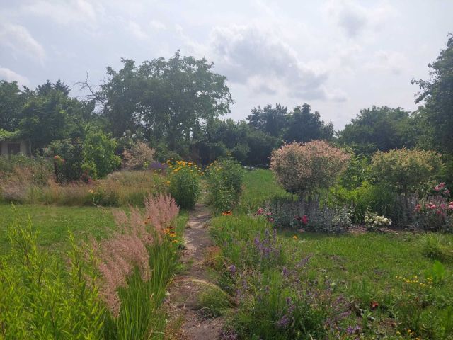 Działka rod Wrocław Fabryczna, ul. Klecińska. Zdjęcie 1