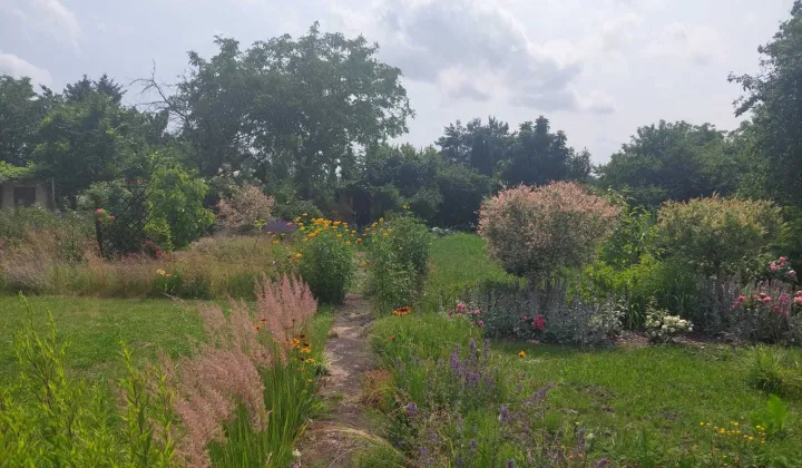 Działka rod Wrocław Fabryczna, ul. Klecińska