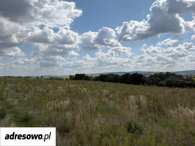 Działka budowlana Ratajno. Zdjęcie 2