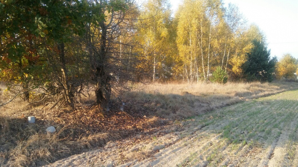 Działka budowlana Gródek, ul. Nowy Świat. Zdjęcie 4