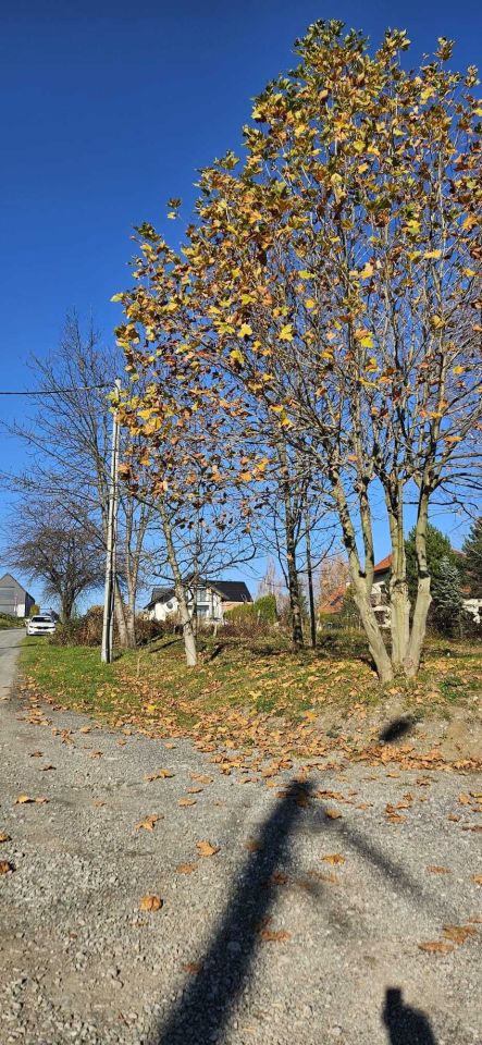 Działka budowlana Bielsko-Biała, ul. Pienińska. Zdjęcie 8