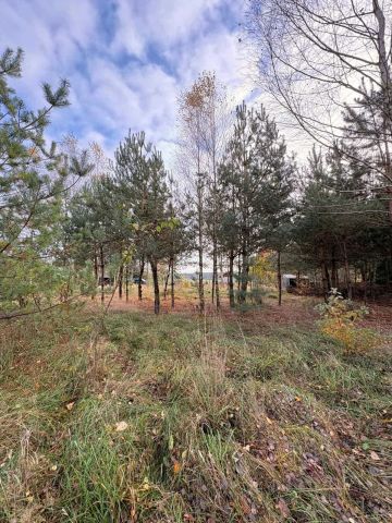 Działka rekreacyjna Osowo Leśne. Zdjęcie 1