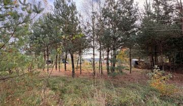 Działka rekreacyjna Osowo Leśne