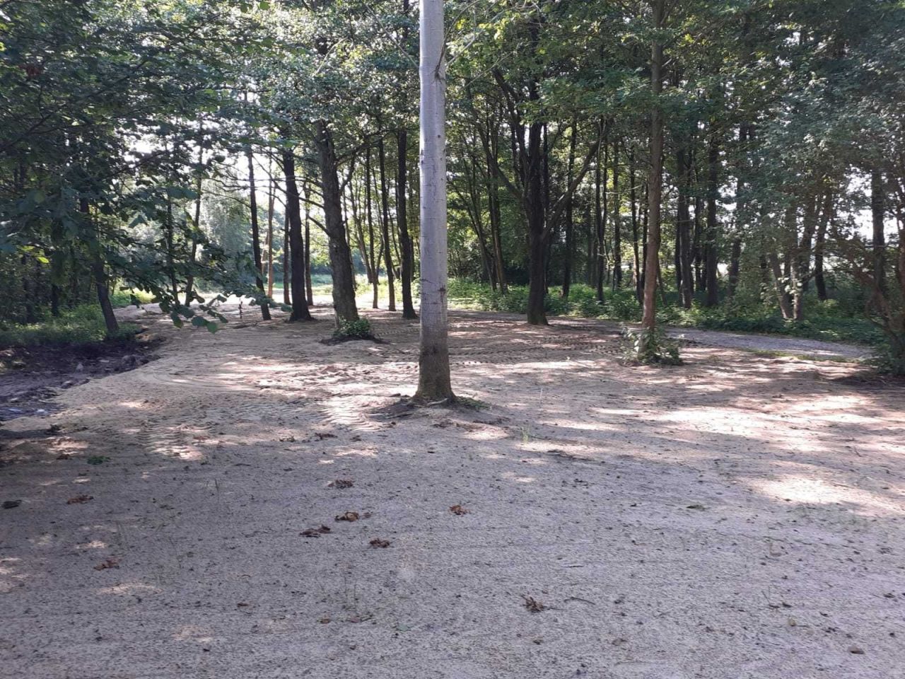 Działka inwestycyjna Sielsko. Zdjęcie 6