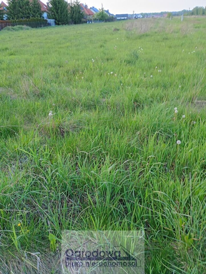 Działka budowlana Ustanów. Zdjęcie 2