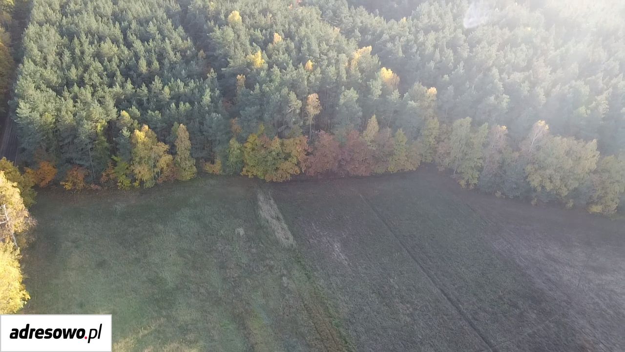 Działka budowlana Smólniki Osieckie. Zdjęcie 10