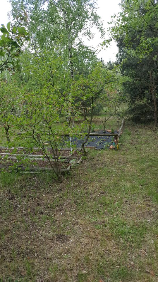 Działka budowlana Stary Imielnik. Zdjęcie 16