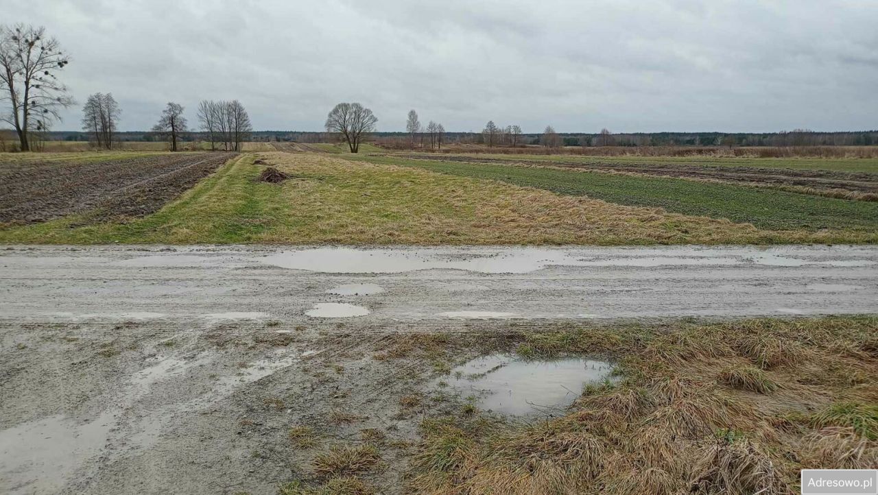 Działka budowlana Aleksandrów Aleksandrów Trzeci. Zdjęcie 2