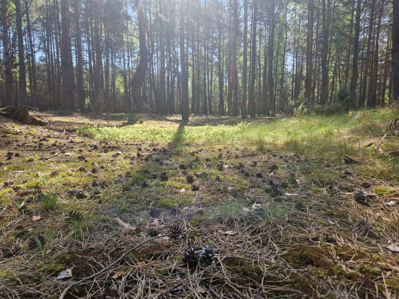 Działka budowlana Smólnik. Zdjęcie 6