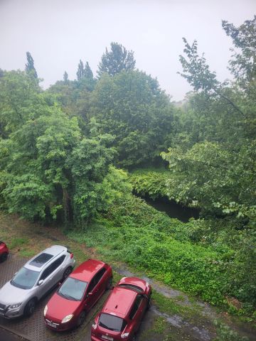 Mieszkanie 1-pokojowe Sosnowiec Sielec, pl. Tadeusza Kościuszki. Zdjęcie 10