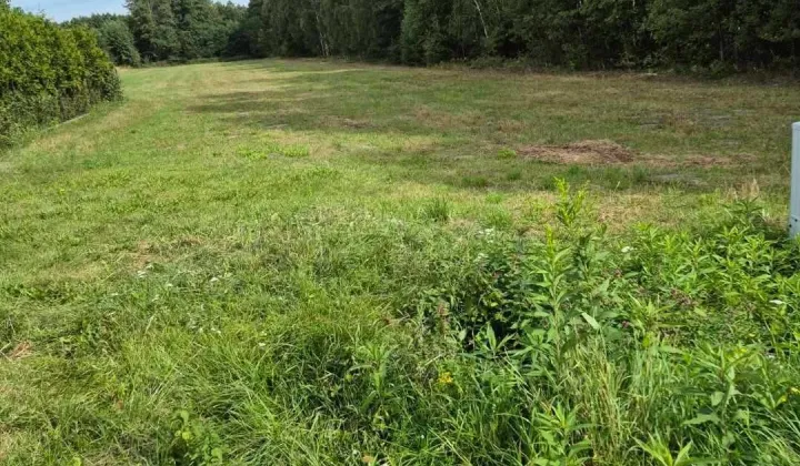 Działka rolno-budowlana Puszcza Mariańska, ul. Akacjowa