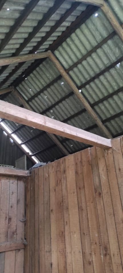 Działka rolno-budowlana Białowieża, ul. Wojciechówka. Zdjęcie 15